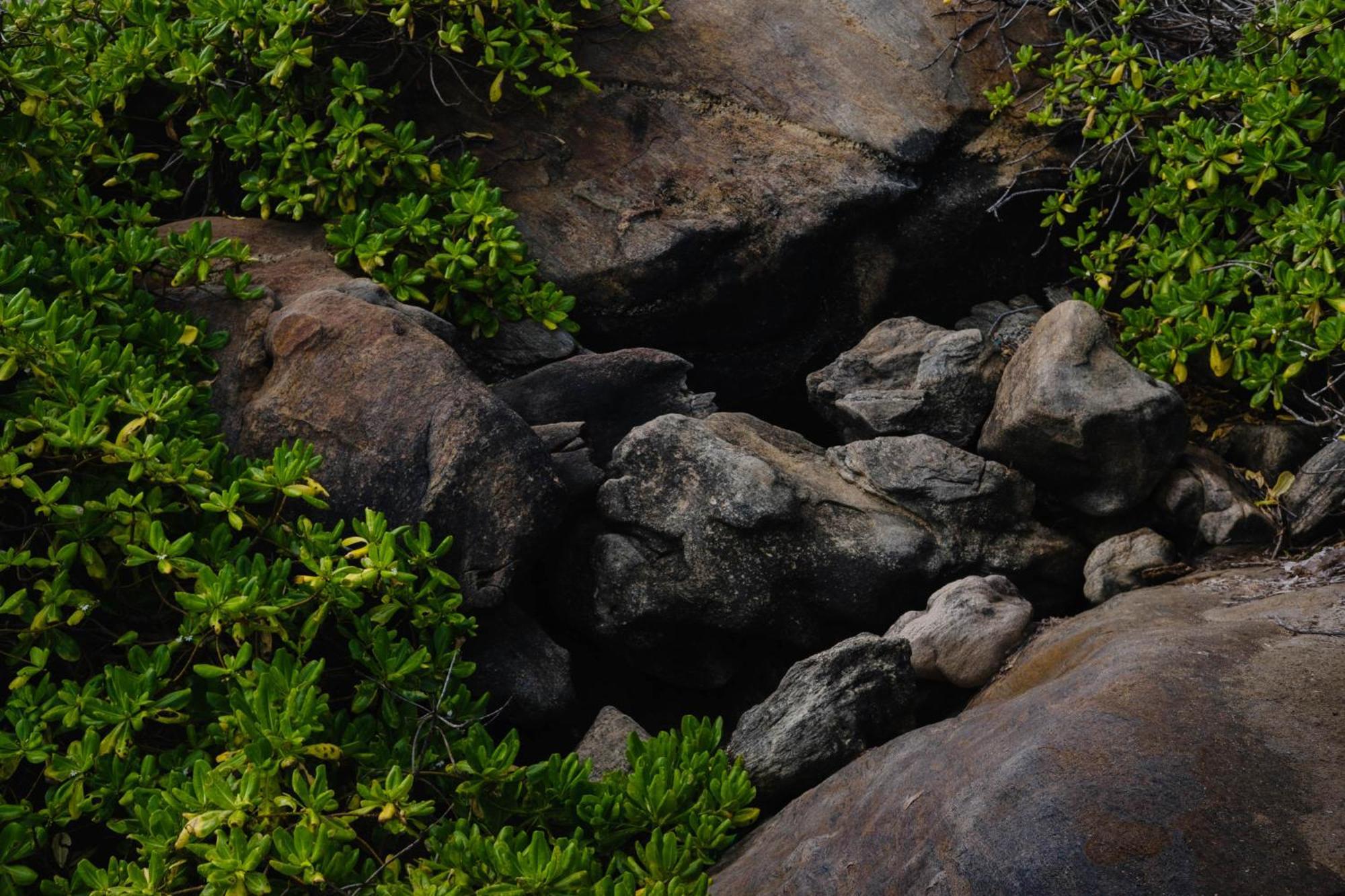Treasure Rock Bed and Breakfast Kirinda  Exteriör bild