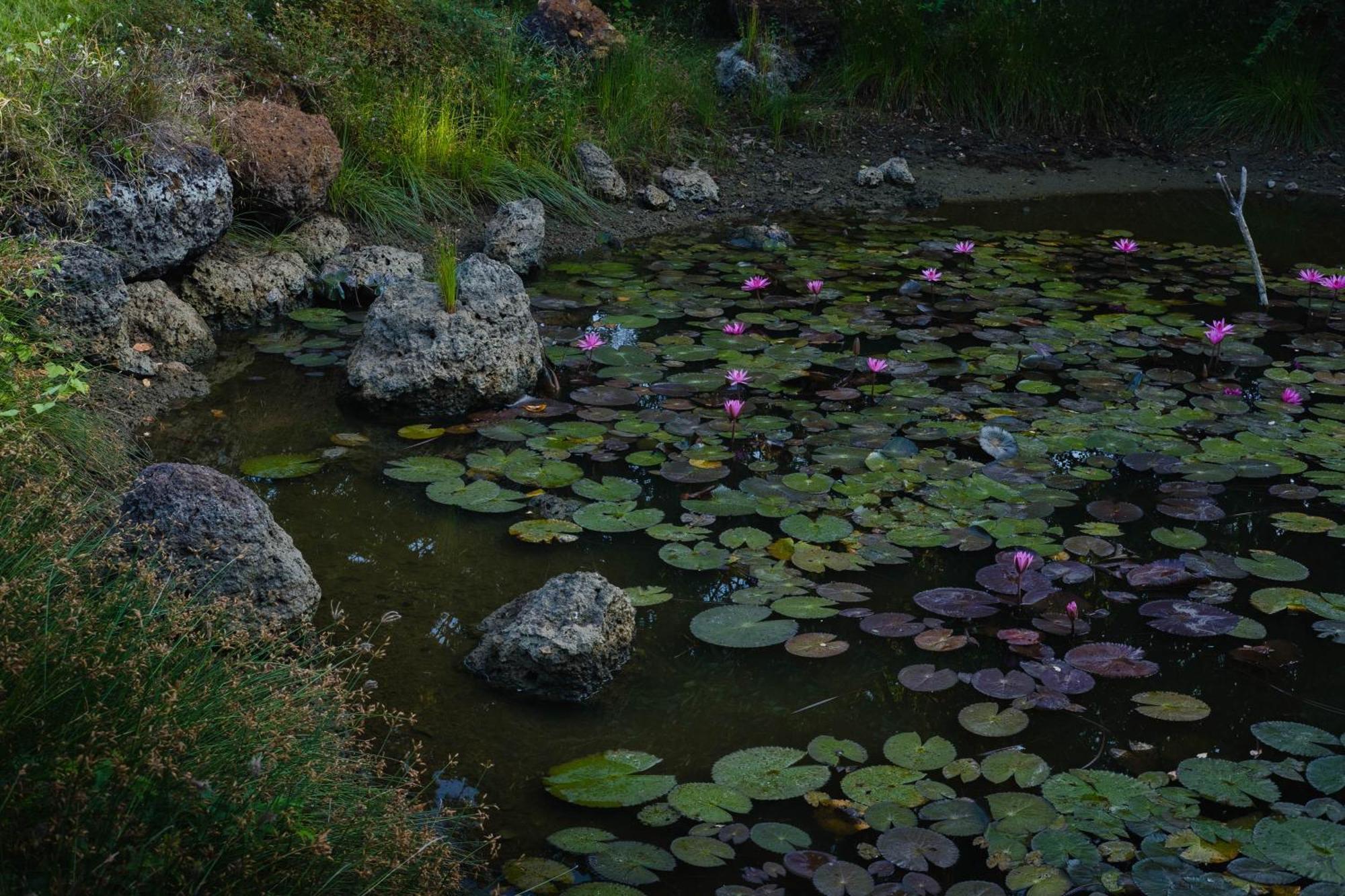 Treasure Rock Bed and Breakfast Kirinda  Exteriör bild
